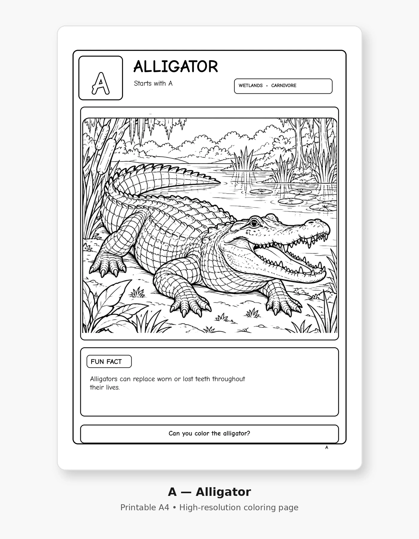 Animal Alphabet Adventures sample page 1