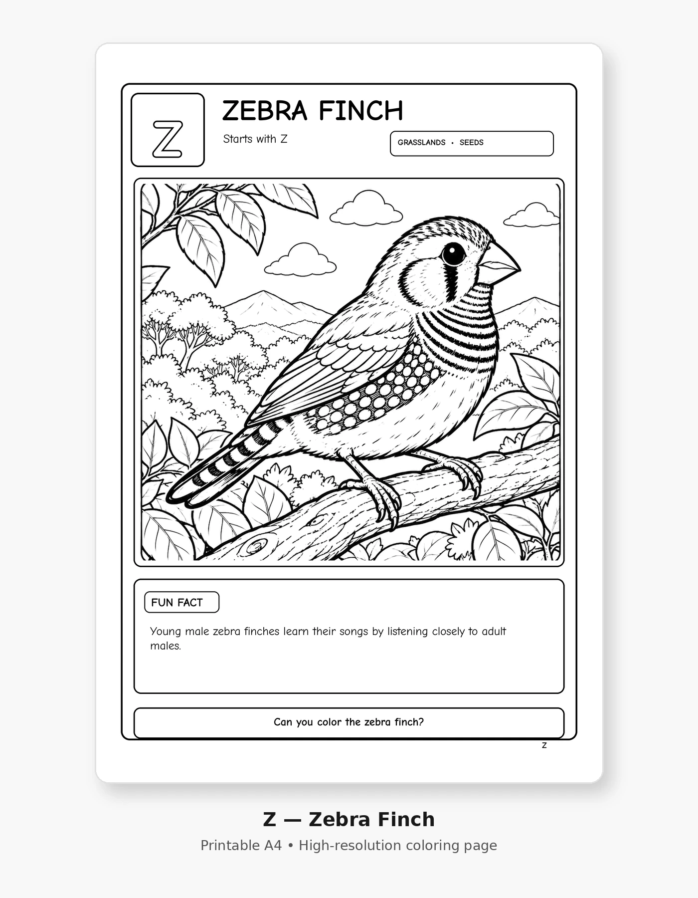 Bird Alphabet Adventures — A–Z Coloring Book with Amazing Bird Facts sample page 3