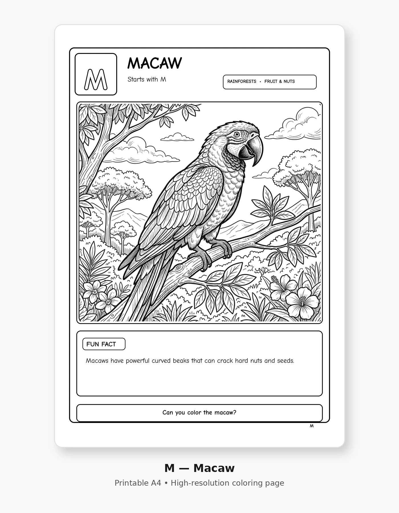 Bird Alphabet Adventures — A–Z Coloring Book with Amazing Bird Facts sample page 2